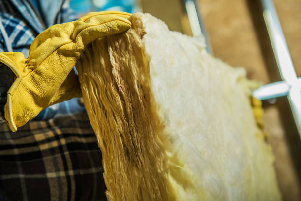 Best Insulation Contractors for Homes  in Dacula, GA