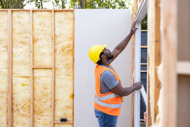 Best Insulation Removal  in Dacula, GA