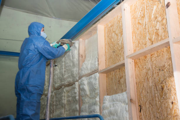 Best Blown-in Insulation  in Dacula, GA
